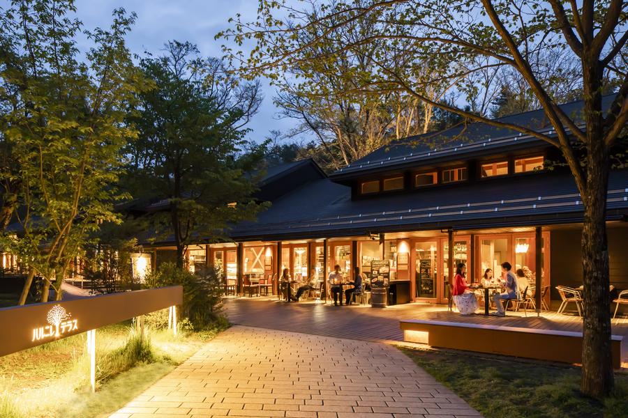 ハルニレテラス